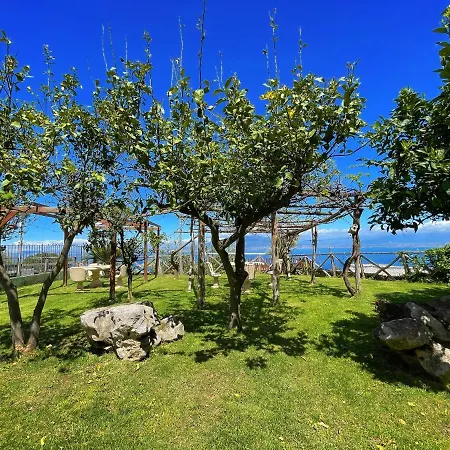 Antica Tenuta Celotto Hytte *