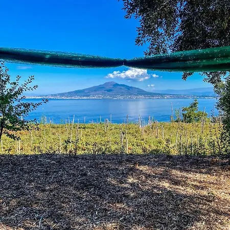 Lodge Antica Tenuta Celotto