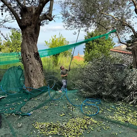 Antica Tenuta Celotto *